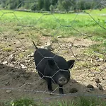 布雷克加尔旅馆 旅馆 弗洛姆