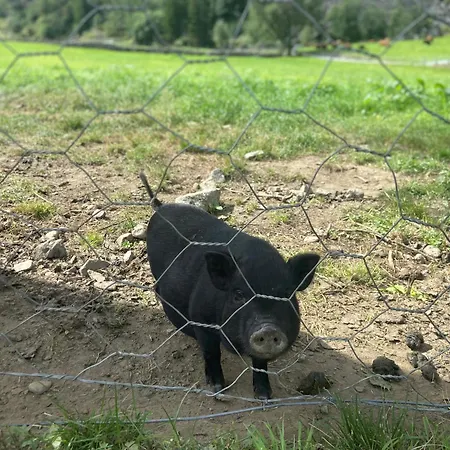 브레게 가드 호스텔 플람