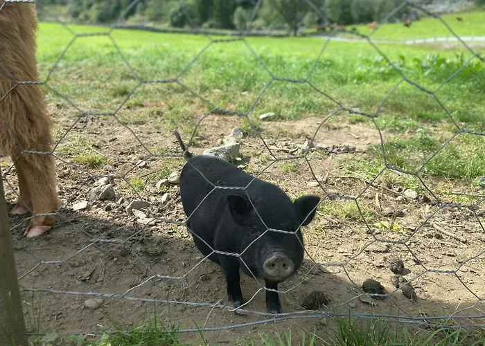 Brekke Gard Hostel Flåm