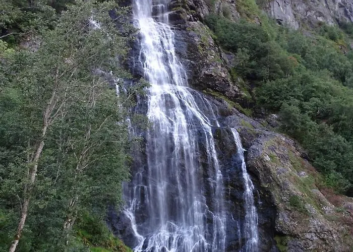 호스텔 브레게 가드 *